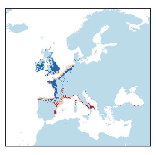 Brassica oleracea subsp. oleracea