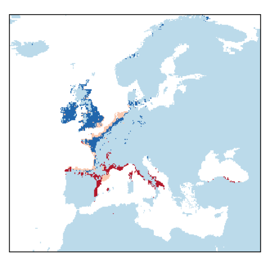 Brassica oleracea subsp. oleracea
