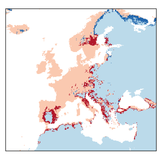 Capsella bursa-pastoris (L.) Medicus