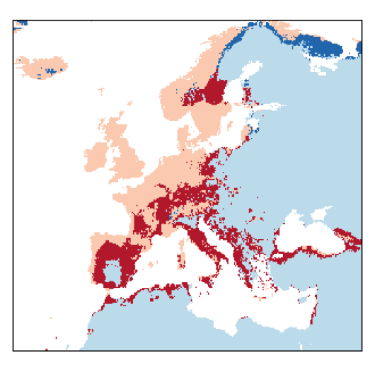 Capsella bursa-pastoris (L.) Medicus