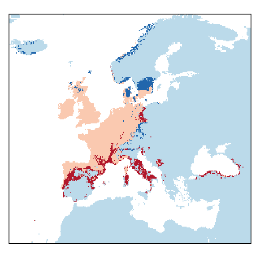 Castanea sativa Mill.