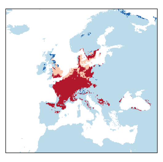 Chenopodiastrum hybridum (L.) S. Fuentes-B., Uotila & Borsch