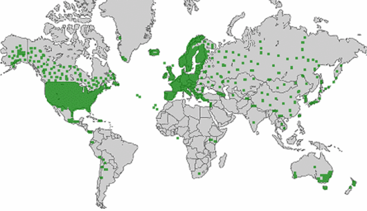Chenopodium album L.