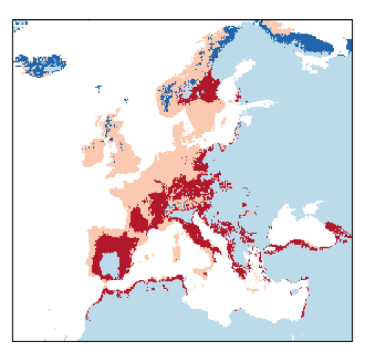 Chenopodium album L.