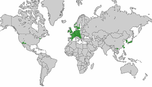 Chenopodium ficifolium J.E. Smith