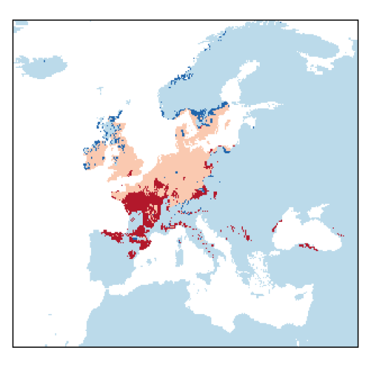 Chenopodium ficifolium J.E. Smith