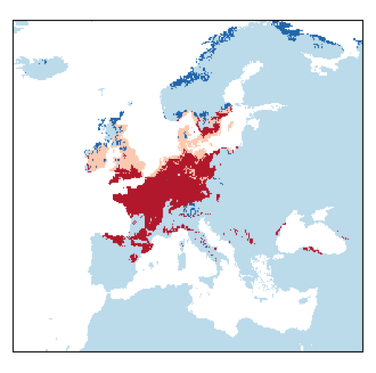 Chenopodium ficifolium J.E. Smith