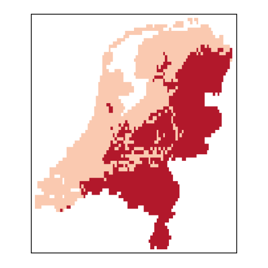 Chenopodium ficifolium J.E. Smith