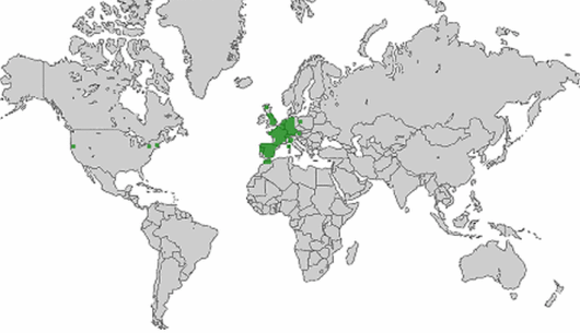Coincya monensis subsp. cheiranthos (Vill.) C. Aedo Perez, E.A. Leadlay & J.F. Munoz Garmendia