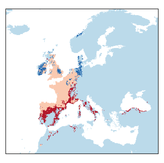 Coincya monensis subsp. cheiranthos (Vill.) C. Aedo Perez, E.A. Leadlay & J.F. Munoz Garmendia