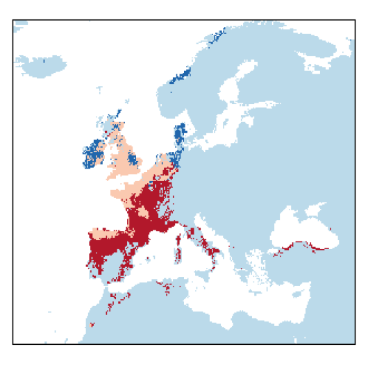 Coincya monensis subsp. cheiranthos (Vill.) C. Aedo Perez, E.A. Leadlay & J.F. Munoz Garmendia