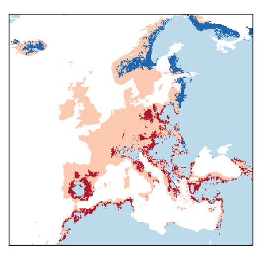 Dactylis glomerata subsp. glomerata