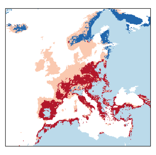 Dactylis glomerata subsp. glomerata