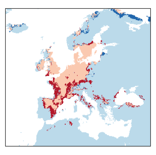Descurainia sophia (L.) Webb ex Prantl