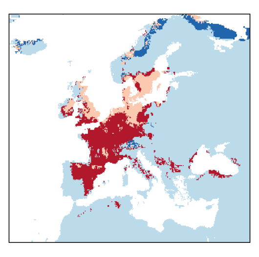 Descurainia sophia (L.) Webb ex Prantl