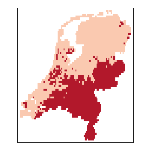 Descurainia sophia (L.) Webb ex Prantl