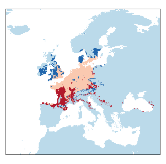 Digitaria ischaemum (Schreber) Muehlenberg
