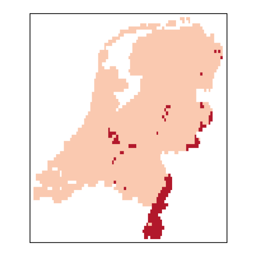 Digitaria ischaemum (Schreber) Muehlenberg
