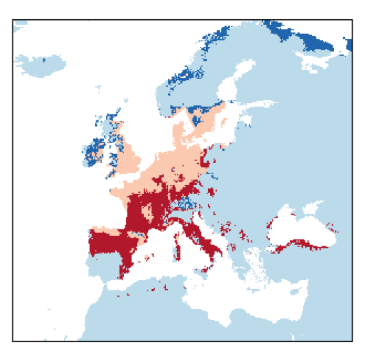 Diplotaxis muralis (L.) DC.