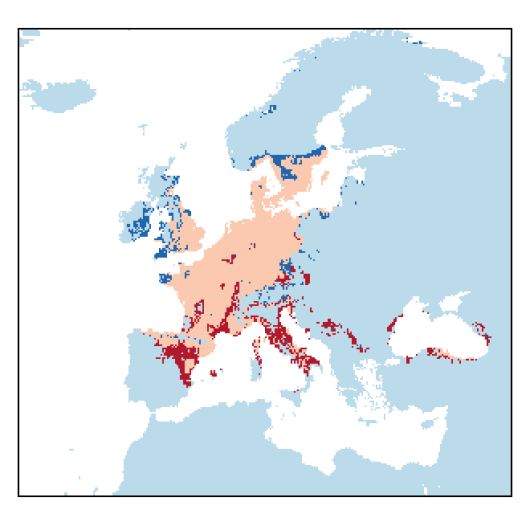Diplotaxis tenuifolia (L.) DC.