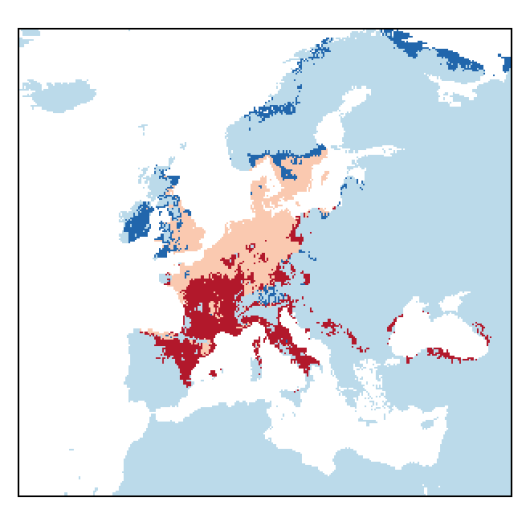 Diplotaxis tenuifolia (L.) DC.