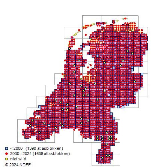 Echinochloa crus-galli (L.) P. Beauv.