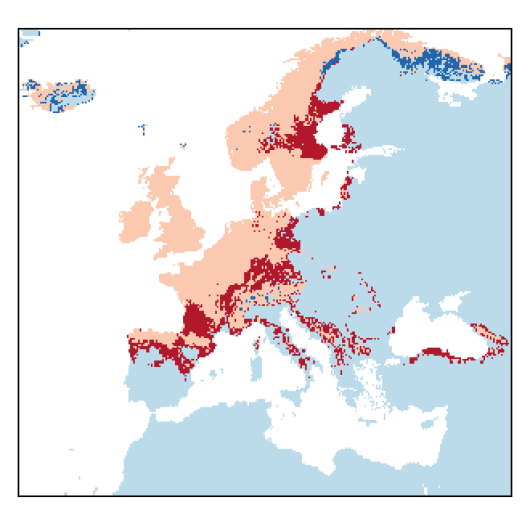 Elymus caninus (L.) L.