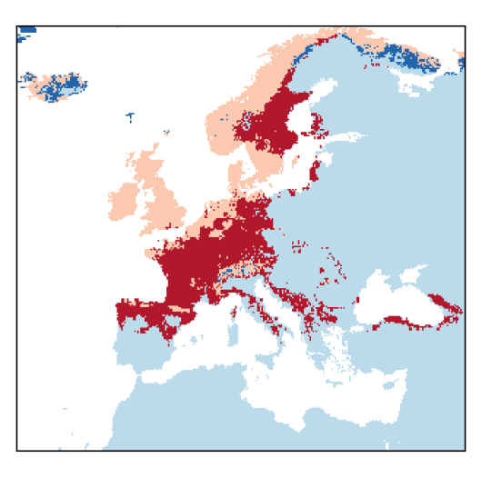 Elymus caninus (L.) L.