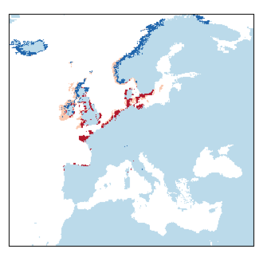 Elymus farctus subsp. boreoatlanticus (Simonet & Guinochet) Melderis