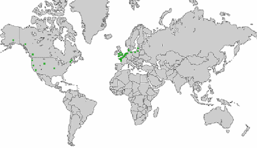 Festuca arenaria Osbeck