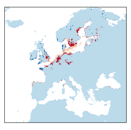 Festuca arenaria Osbeck