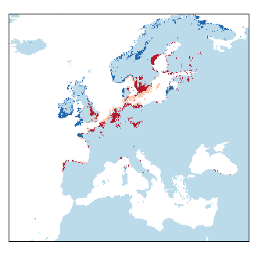 Festuca arenaria Osbeck
