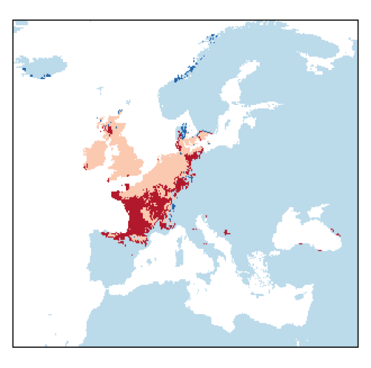 Festuca filiformis Pourr.