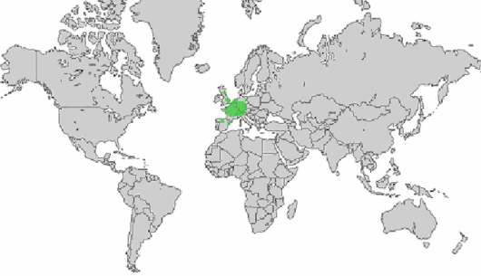 Festuca lemanii Bastard