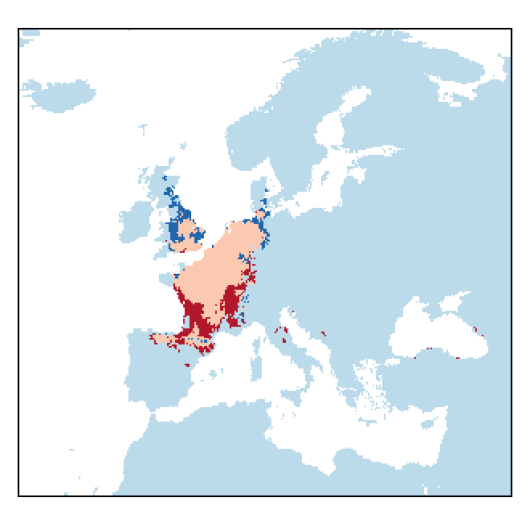 Festuca lemanii Bastard