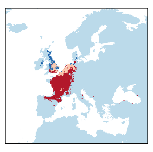 Festuca lemanii Bastard