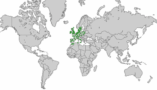 Helosciadium inundatum W.D.J.Koch