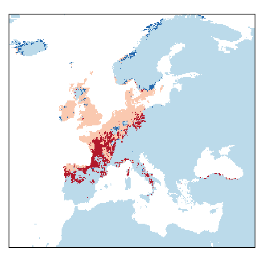 Helosciadium inundatum W.D.J.Koch