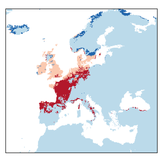 Helosciadium inundatum W.D.J.Koch
