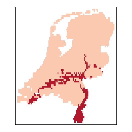 Helosciadium inundatum W.D.J.Koch