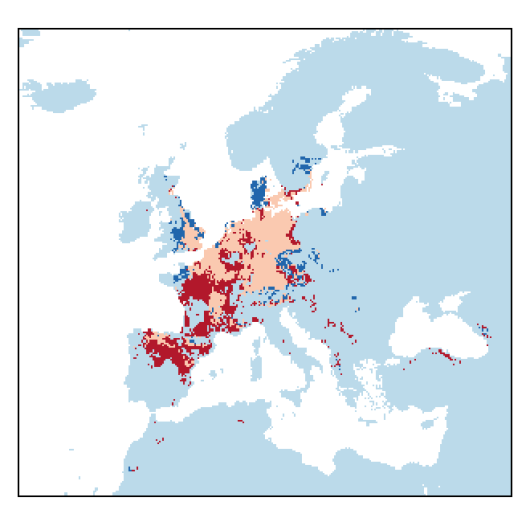 Helosciadium repens (Jacq.) Koch