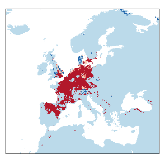 Helosciadium repens (Jacq.) Koch