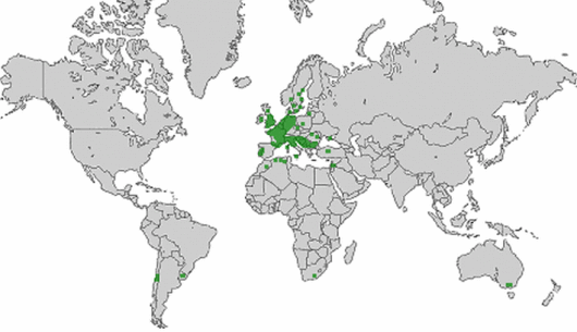 Hordeum secalinum Schreb.