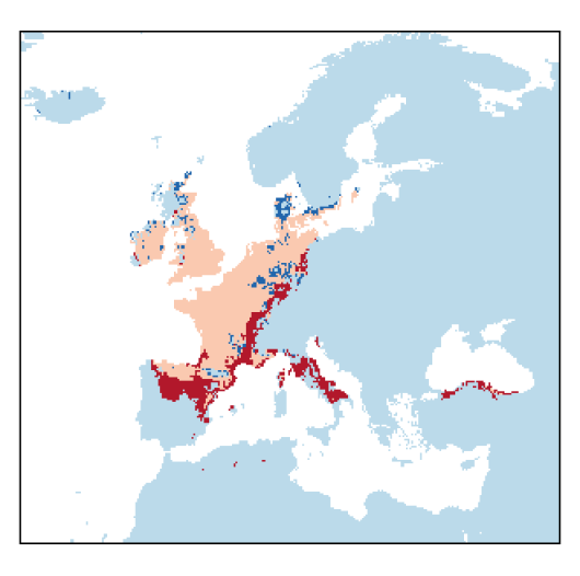 Hordeum secalinum Schreb.