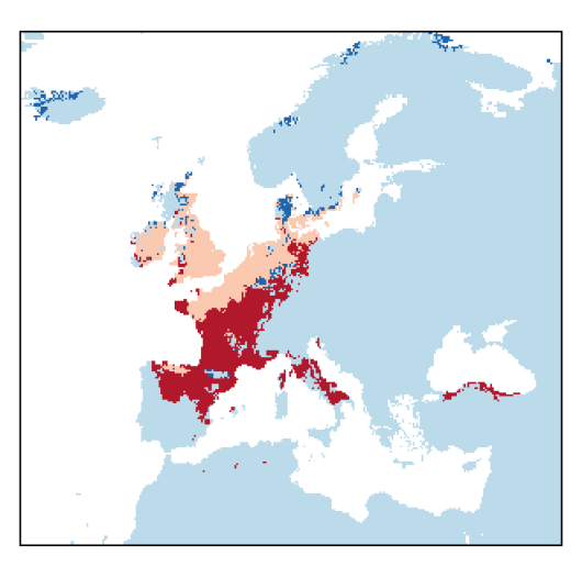 Hordeum secalinum Schreb.