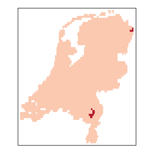 Hordeum secalinum Schreb.