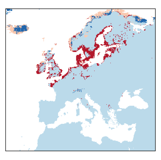 Lathyrus japonicus Willd.