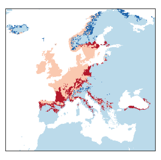 Lathyrus linifolius (Reichard) Bassler