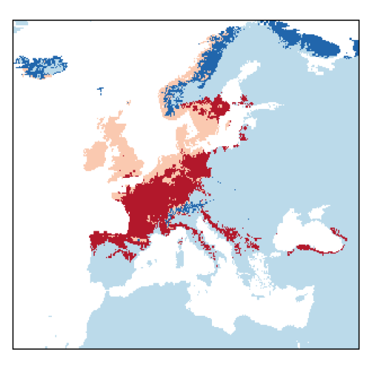 Lathyrus linifolius (Reichard) Bassler