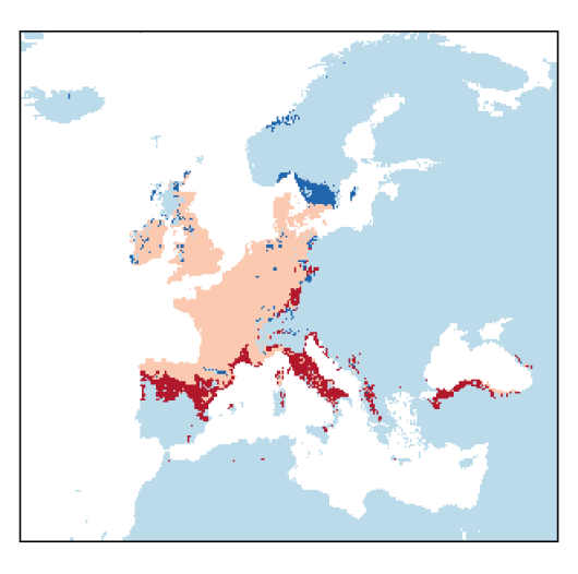 Lathyrus nissolia L.
